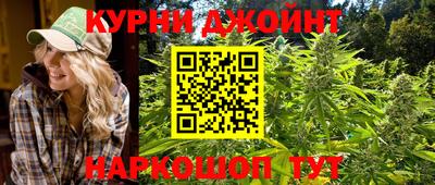 mdpv Рыбинск