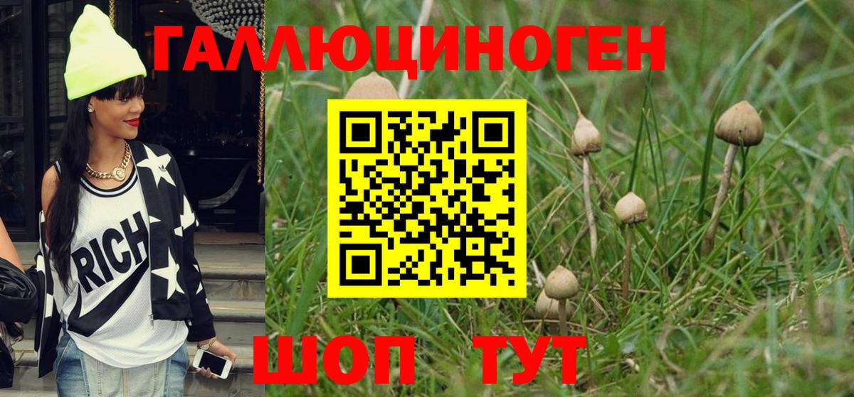 Псилоцибиновые грибы MAGIC MUSHROOMS Пенза