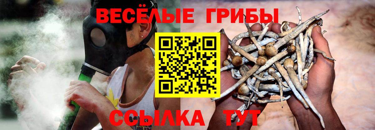 Пенза  Псилоцибиновые грибы мицелий  Вход с VPN 